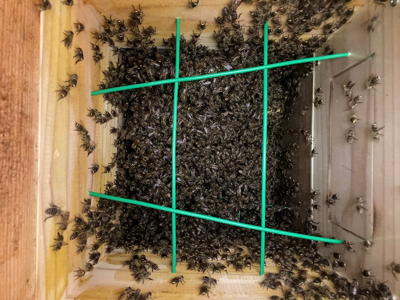C棟2号巣箱内